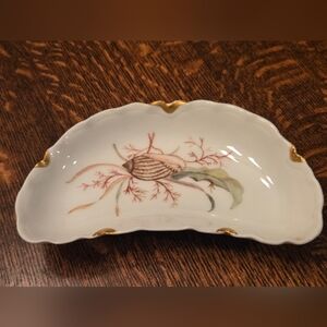 Elegant Shell and Coral Design Porcelain Crescent Shaped Fish Bone Plate